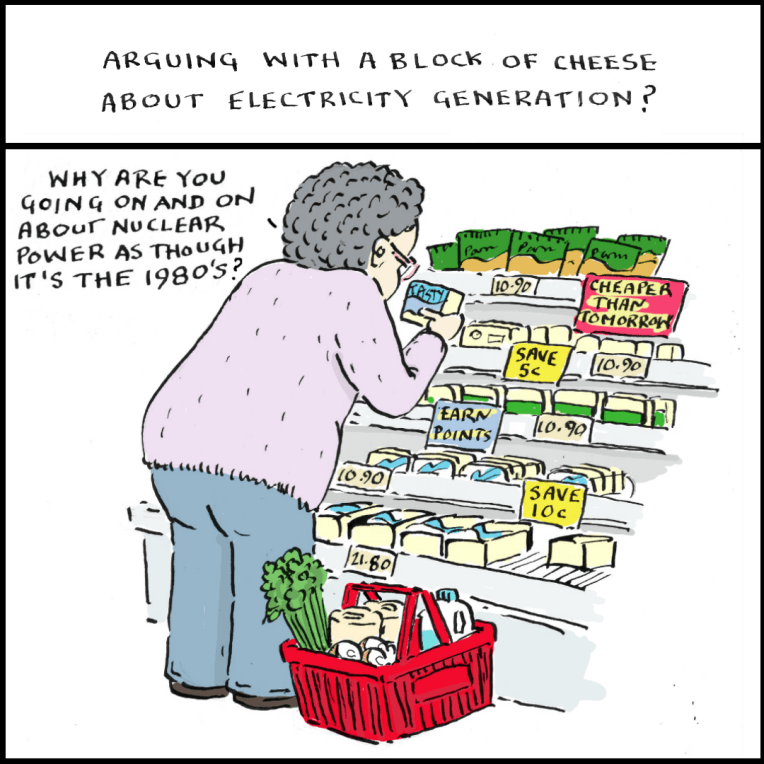 A person at the supermarket talking on their phone about nuclear power, but it looks like she's talking to a block of cheese she's selecting from the fridge cabinet.